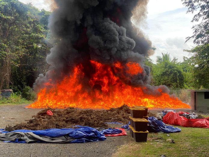 Inacif destruye más de 33 toneladas de drogas en primer semestre del año