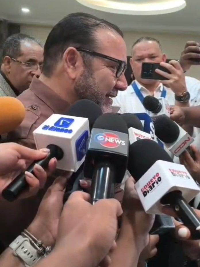 Genao sostuvo que la Constitución dominicana no contempla de forma expresa la figura de las candidaturas independientes, por lo que entiende que la interpretación realizada en la sentencia excede las funciones del órgano encargado de interpretar la Carta Magna.