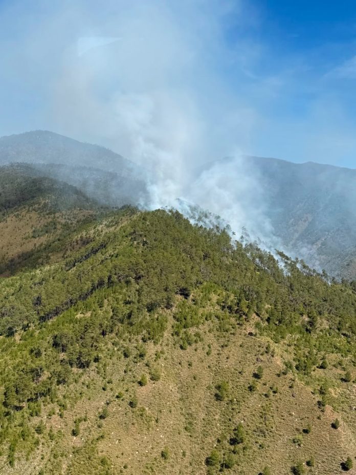 Medio Ambiente controla incendio forestal en el Valle del Tetero tras rápida intervención interinstitucional